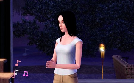 Воры и клептоманы среди симов в The Sims 3