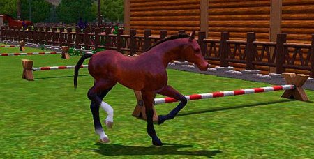 Лошади – прекрасные питомцы в Симс 3