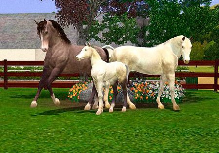 Лошади – прекрасные питомцы в Симс 3