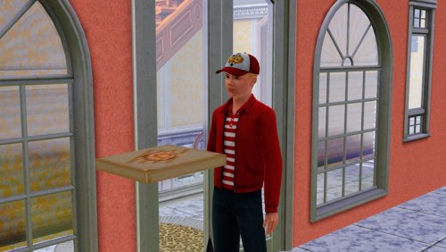 Кто такие NPC в Симс 3