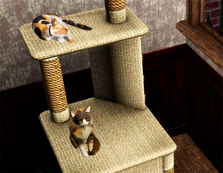 Заведите кота с Симс 3 Питомцы