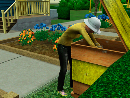 Заведите пчел в Симс3: Сверхъестественное